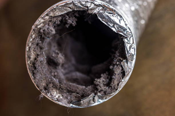 Best Best Air Duct Cleaning Near Me  in Boise City, OK